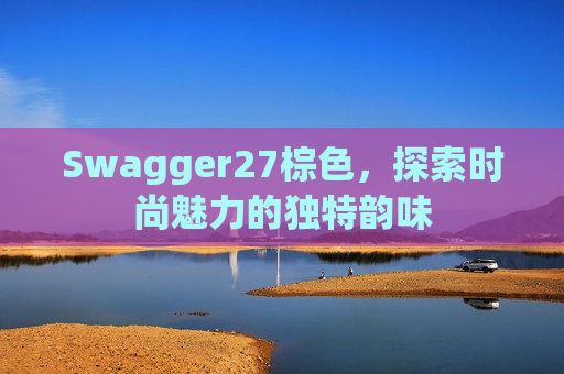 Swagger27棕色，探索时尚魅力的独特韵味